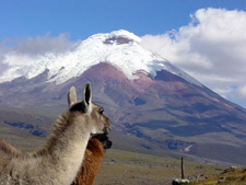 Ecuador-Highlands Riding Tours-Colonial Hacienda and Inca Trail